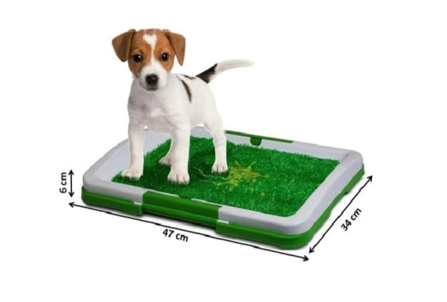 NUEVO TAPETE INTERNO PARA PERRO