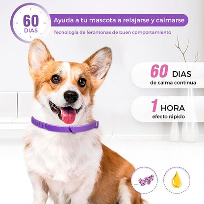 COLLAR CALMANTE PARA PERRO COMBO X 2