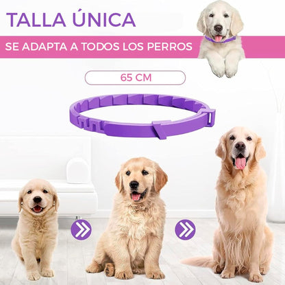 COLLAR CALMANTE PARA PERRO COMBO X 2